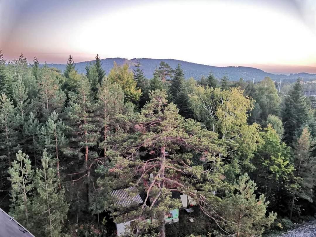 Divcibare Planinski Mir A19 外观 照片